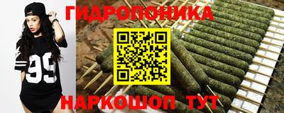 стаф Брянск